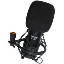 Microfono Condenser Grabacion Profesional Moon Ms01