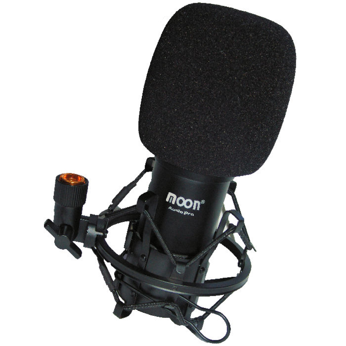 Microfono Condenser Grabacion Profesional Moon Ms01