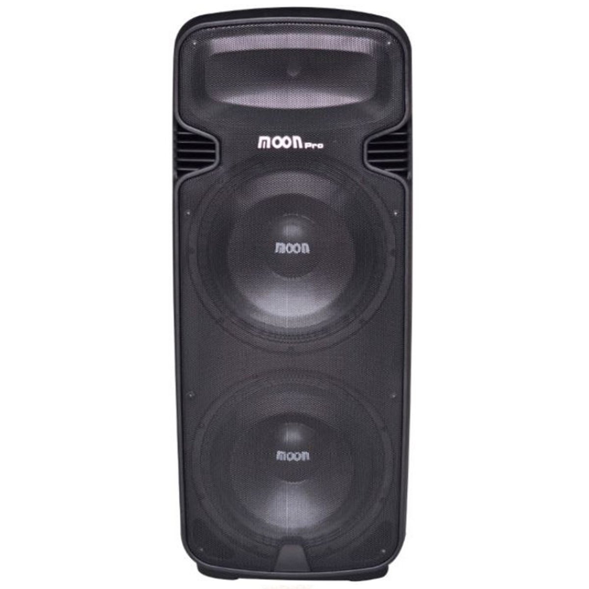Parlante Potenciado 12" Bluetooth Sd Usb Moon Wild215aup