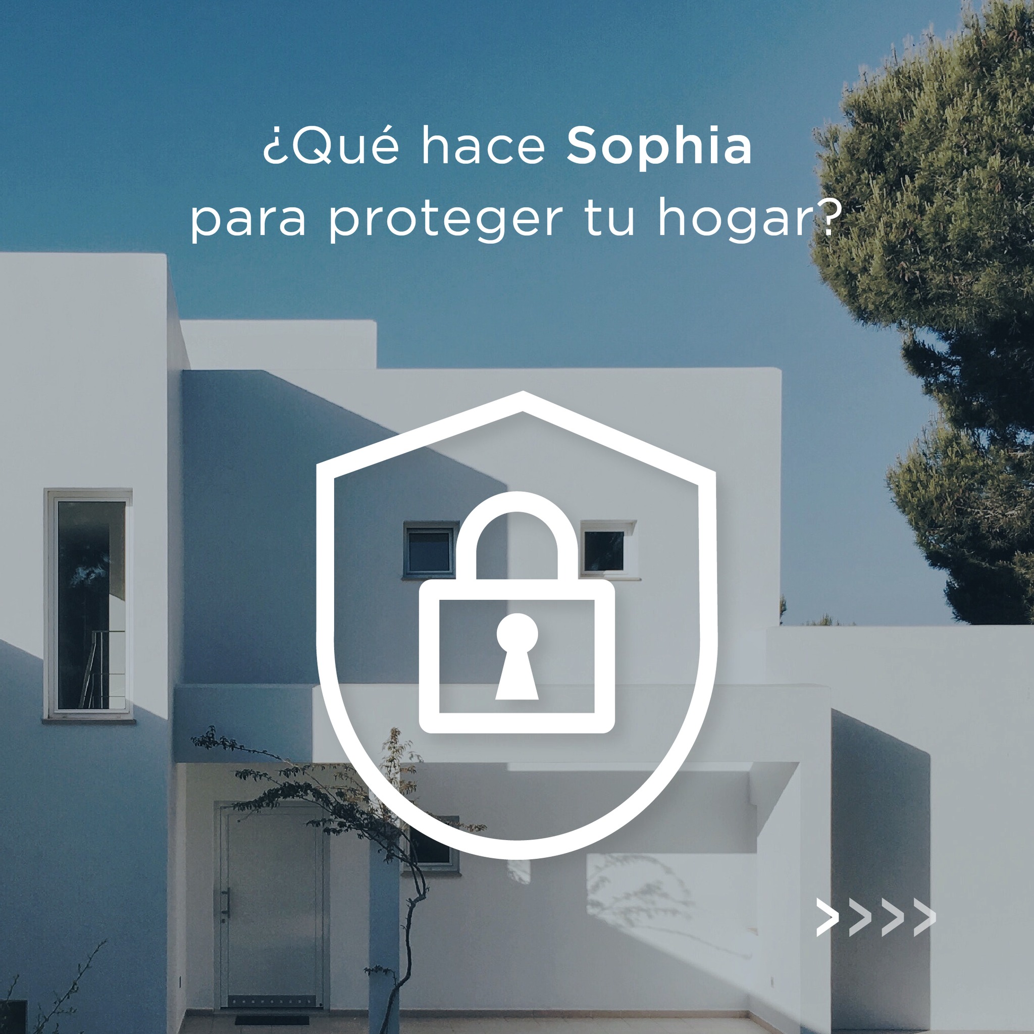 Seguridad Inteligente Sophia Intelligence